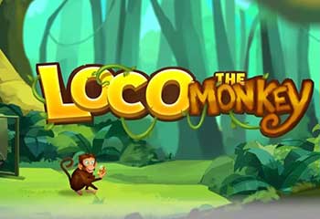 Loco the Monkey